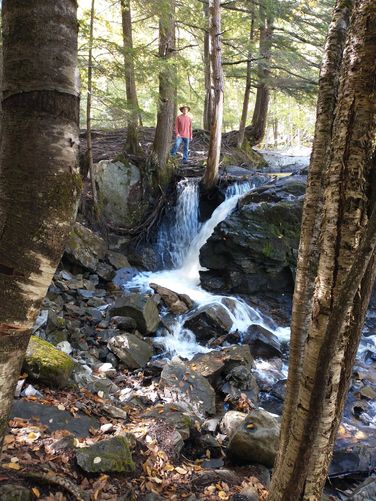 Powerful Cascades of water at the Upper Falls 