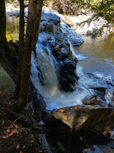 Powerful Cascades of water at the Upper Falls 