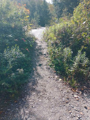 Footpath through dirt mound gate