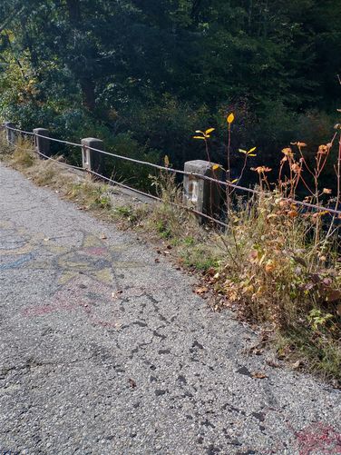 Old bridge over the Branch Brook 