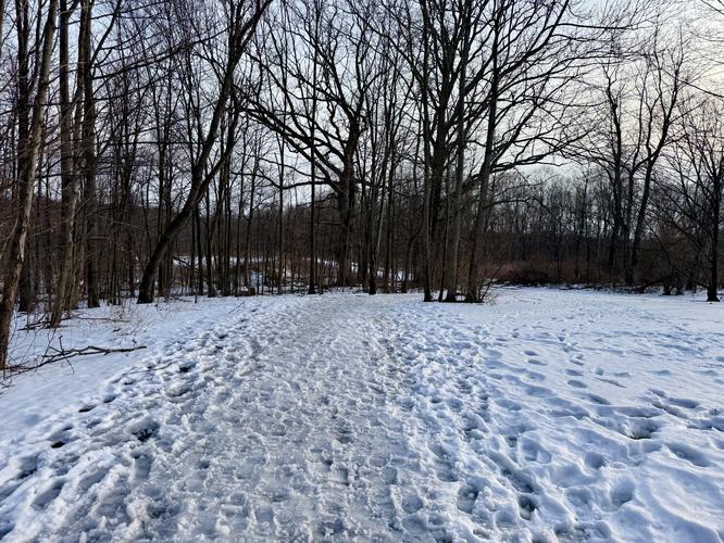 Picture 3 of Buttermilk Falls via Mister Rogers Pathway