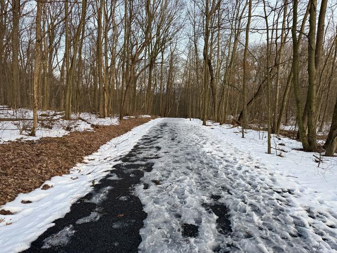 Picture 4 of Buttermilk Falls via Mister Rogers Pathway