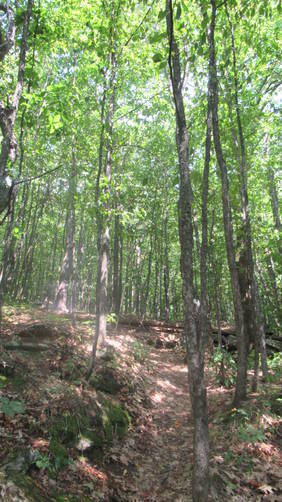 Trail continues uphill