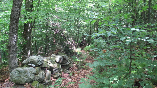 Trail along old rock wall