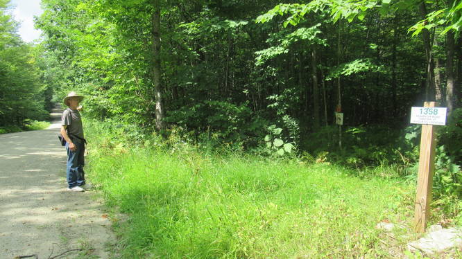 Butternut Hill Trail exits to Reservoir Rd at Road marker 1358 and heads up the road