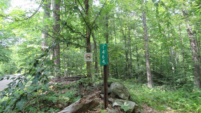 Re-enter the woods at road marker 1464