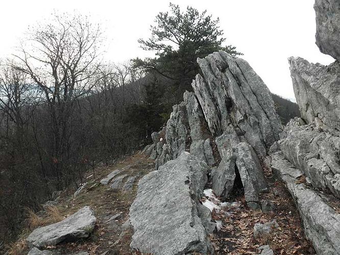 Picture 6 of Buzzard Rock North Hike 011610