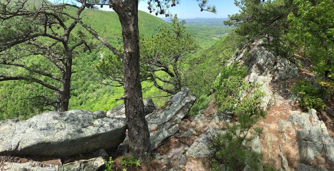 Picture 10 of Buzzard Rock North Hike 030816