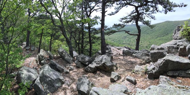 Picture 9 of Buzzard Rock North Hike 030816