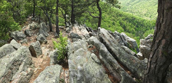 Picture 8 of Buzzard Rock North Hike 030816