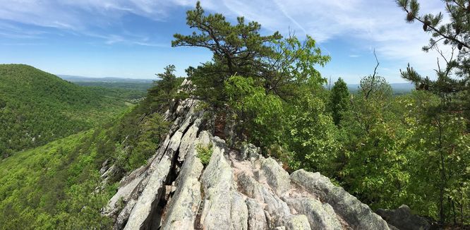 Picture 6 of Buzzard Rock North Hike 030816
