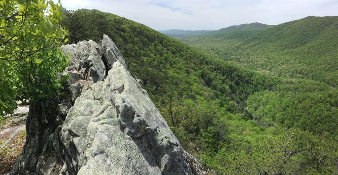 Default image for Buzzard Rock North Hike, a 3.8-mile trail in Front Royal, VA (US)