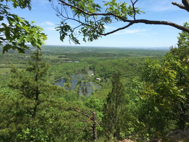 Picture 5 of Buzzard Rock North Hike 030816