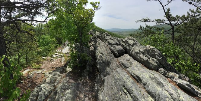 Picture 4 of Buzzard Rock North Hike 030816