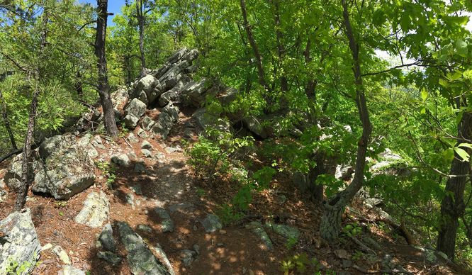 Picture 3 of Buzzard Rock North Hike 030816