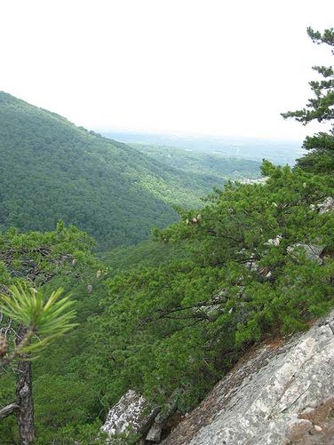 Picture 4 of Buzzard Rock North Hike 053110