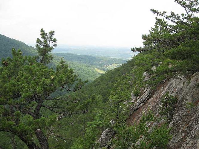Picture 3 of Buzzard Rock North Hike 053110