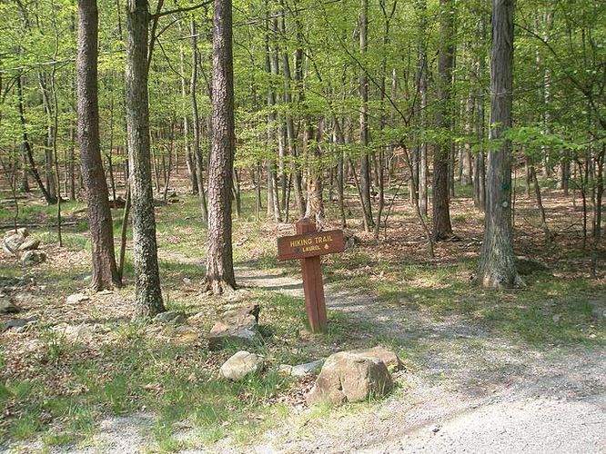 Picture 4 of Cacapon Resort State Park Hike 050308