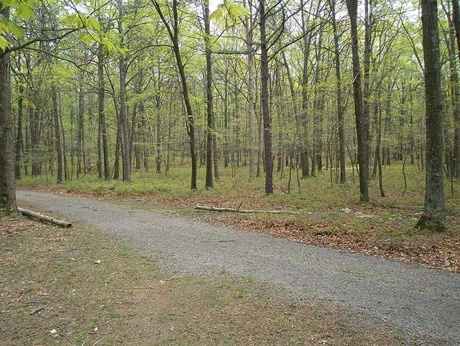 Picture 13 of Cacapon Resort State Park Hike 050308
