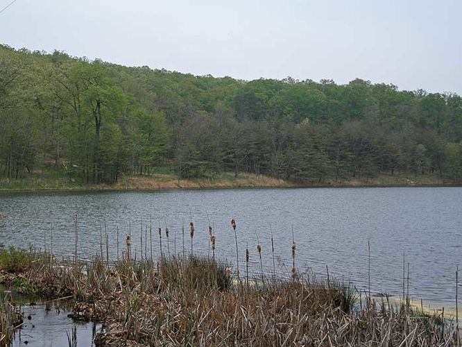 Picture 18 of Cacapon Resort State Park Hike 050308