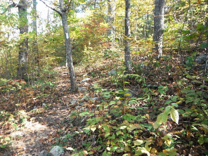 Picture 7 of Calf Mountain Hike 100612