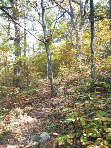 Picture 8 of Calf Mountain Hike 100612