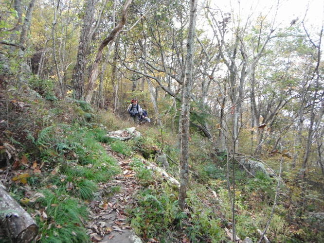 Picture 12 of Calf Mountain Hike 100612