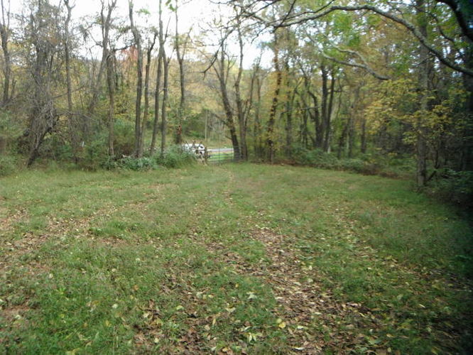Picture 13 of Calf Mountain Hike 100612