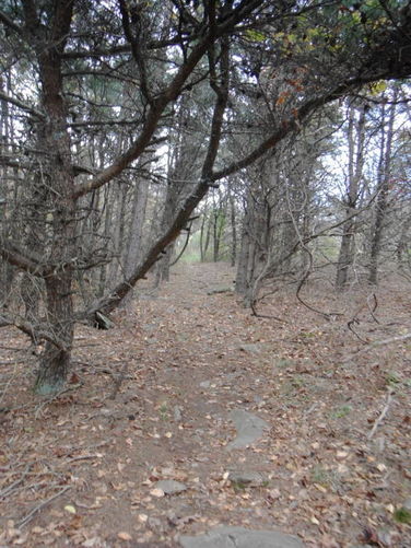 Picture 14 of Calf Mountain Hike 100612