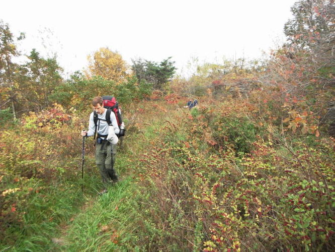 Picture 15 of Calf Mountain Hike 100612
