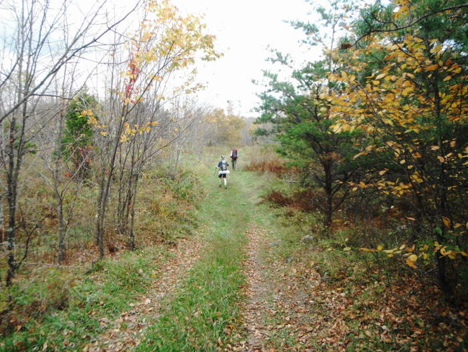 Picture 19 of Calf Mountain Hike 100612