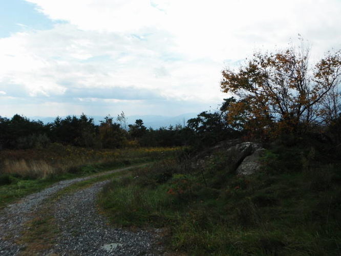 Picture 22 of Calf Mountain Hike 100612