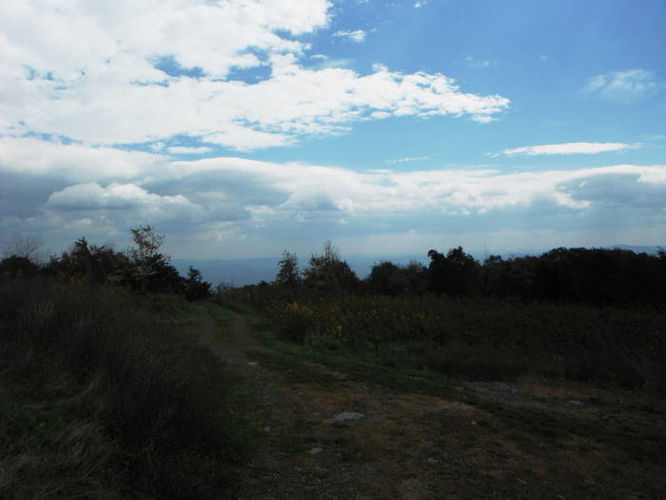 Picture 23 of Calf Mountain Hike 100612