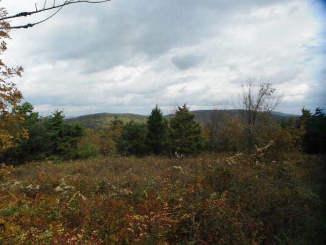 Picture 24 of Calf Mountain Hike 100612