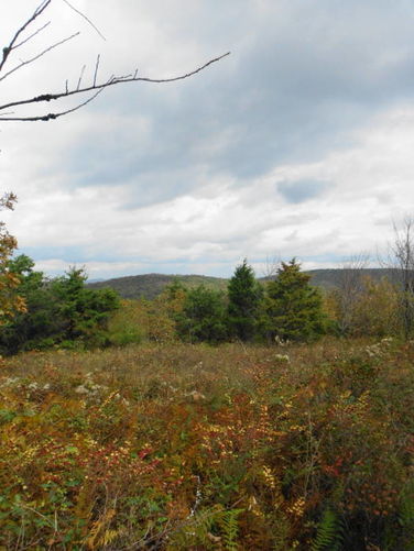 Picture 25 of Calf Mountain Hike 100612