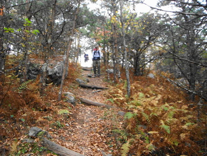 Picture 26 of Calf Mountain Hike 100612