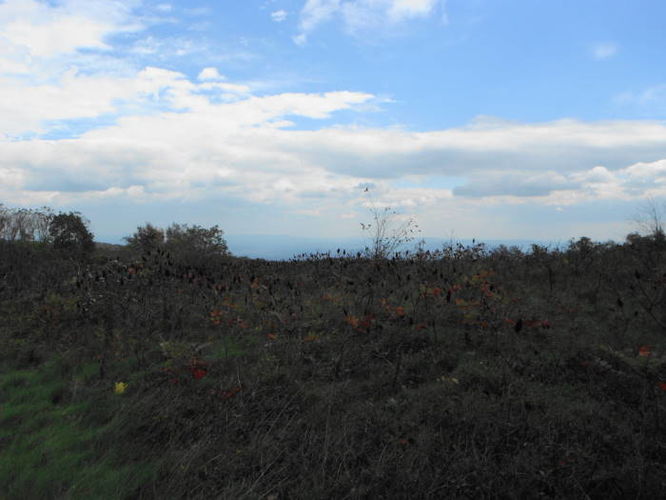Picture 27 of Calf Mountain Hike 100612