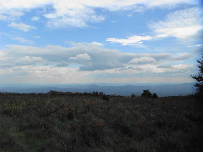 Picture 30 of Calf Mountain Hike 100612