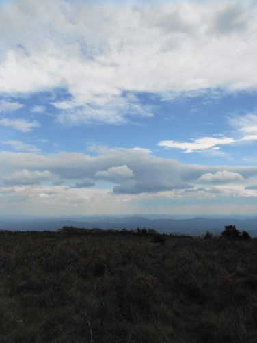 Picture 31 of Calf Mountain Hike 100612