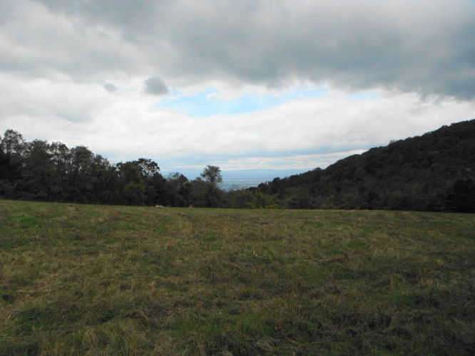 Picture 35 of Calf Mountain Hike 100612