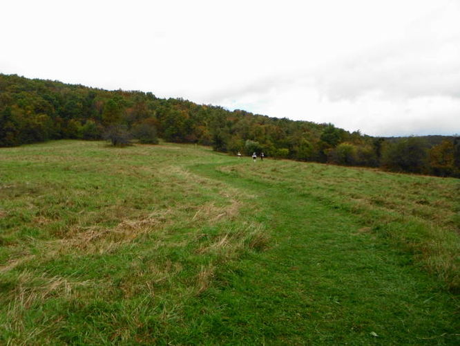 Picture 39 of Calf Mountain Hike 100612