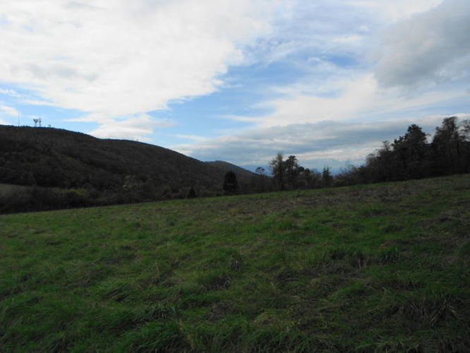 Picture 40 of Calf Mountain Hike 100612
