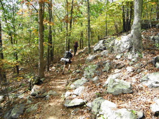 Picture 43 of Calf Mountain Hike 100612