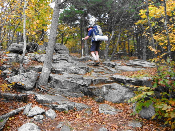 Picture 48 of Calf Mountain Hike 100612