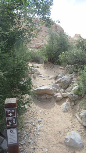Trail substrate changes from wide and flat to more narrow and rocky