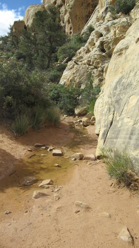 Part of the trail under water due to abundant rain