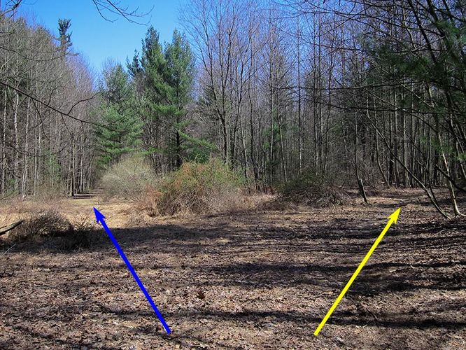 Picture 2 of Camp Michaux Hike 032616