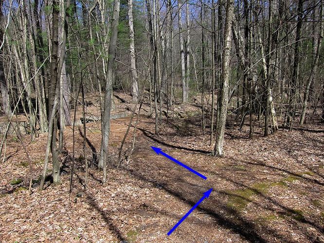 Picture 3 of Camp Michaux Hike 032616