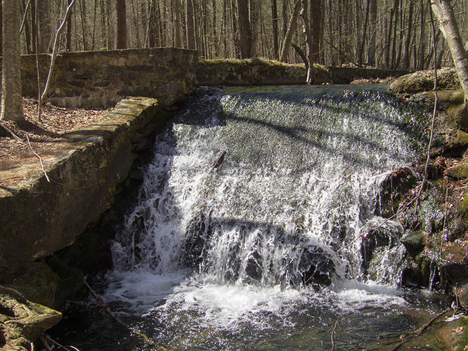 Picture 4 of Camp Michaux Hike 032616