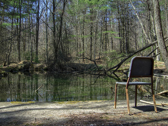 Picture 5 of Camp Michaux Hike 032616